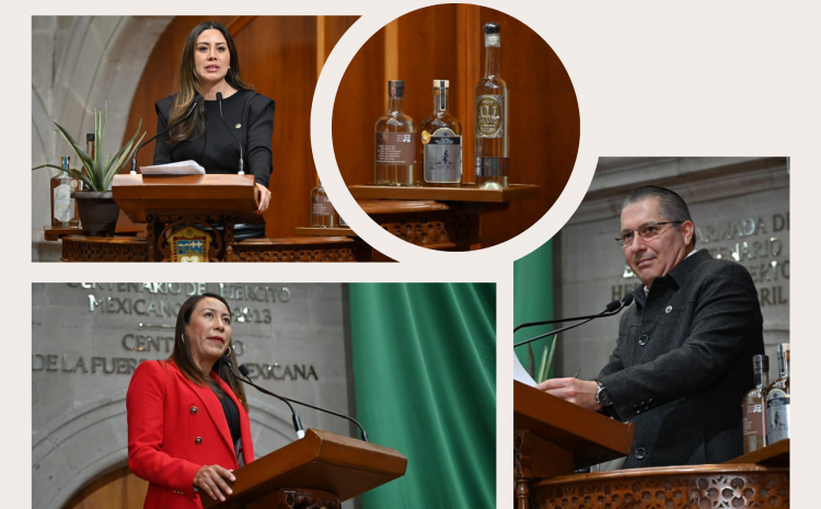  Congresistas por protección de mezcal