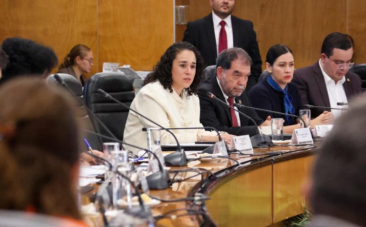  OPLES fortalecen democracia mexicana