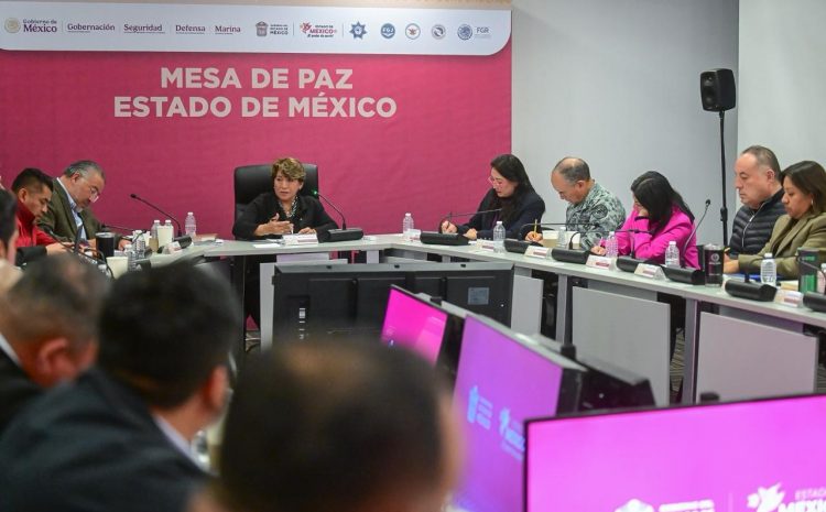  Mando Oriente reduce delitos