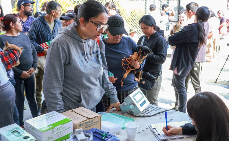 En Toluca mejoran condiciones para seres sintientes
