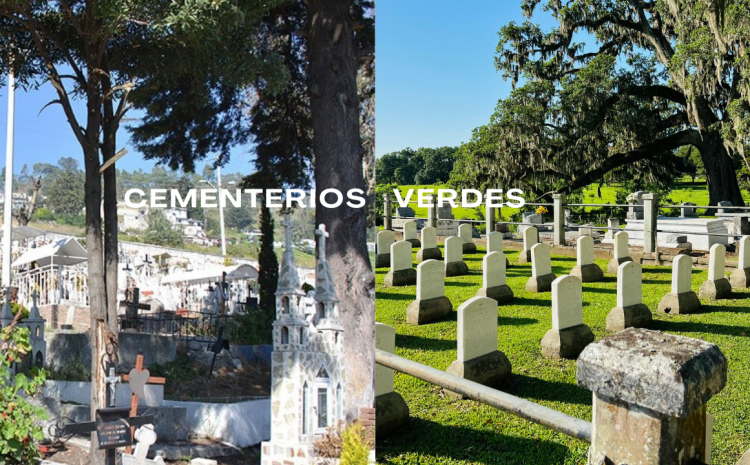  Este año los primeros panteones verdes