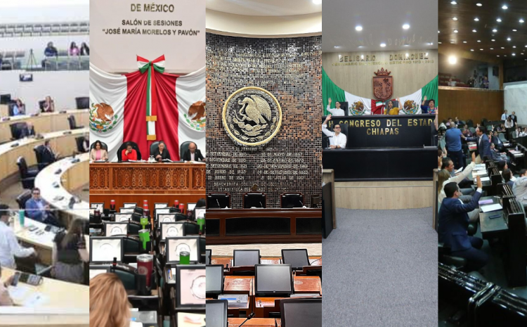  ¿Qué Congresos locales tendrán que bajar su presupuesto?