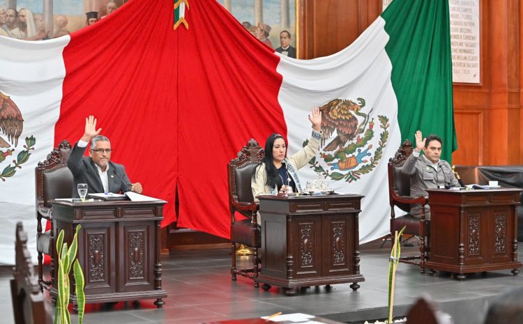  Constitucional reforma electoral y reforma indígena