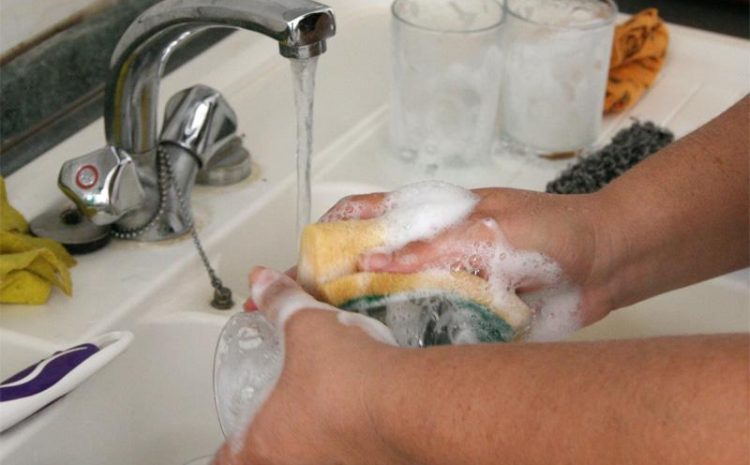  El trabajo del hogar será valorado
