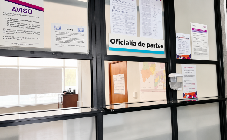  Van 52 denuncias electorales