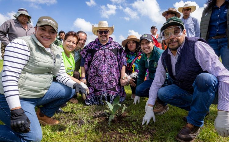  UAEMéx, GEM y Ayuntamiento de Toluca siembran 500 magueyes