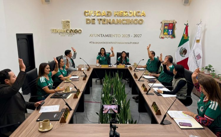  Inician proceso partidario a Nancy Nápoles