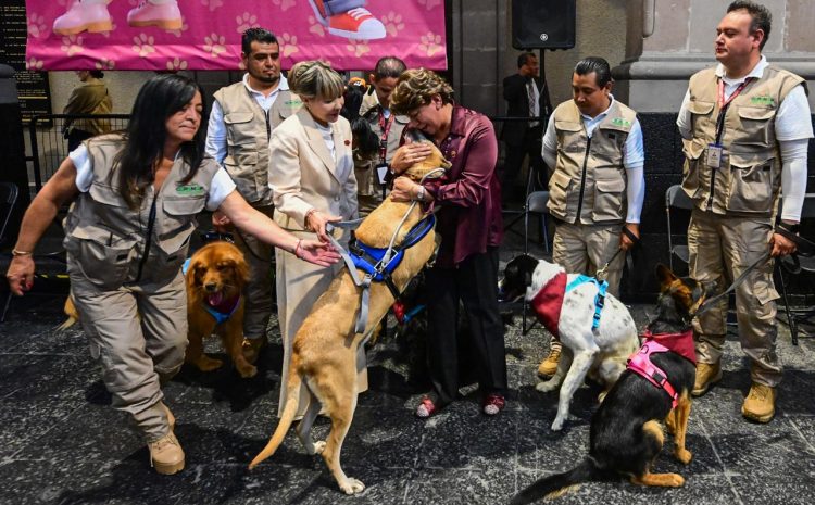  Edoméx fortalece protección animal
