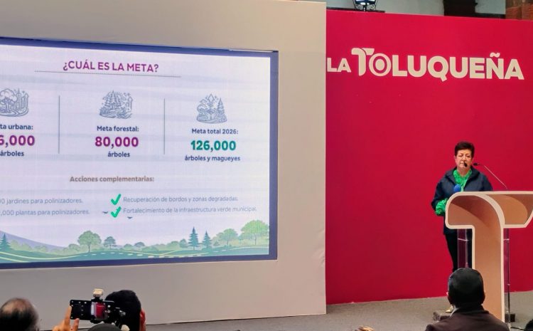  Toluca plantará 126 mil árboles y plantas