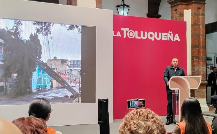  Urge derribar árboles en Paseo Colón