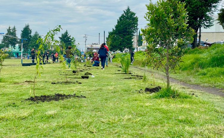 Toluca supera meta de reforestación