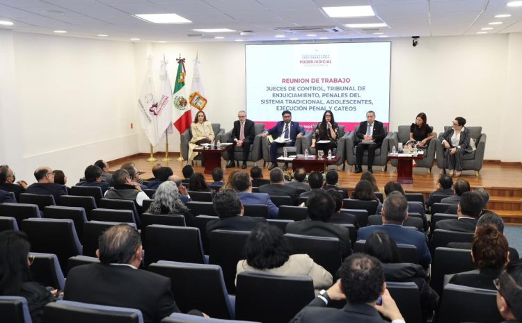  PJEM va por procesos más ágiles