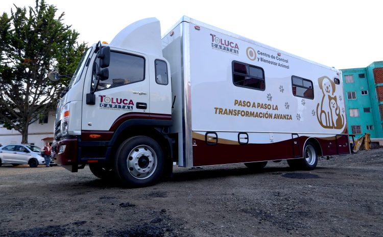  Esterilizan 11 mil perros y gatos y  5 mil 800 vacunas